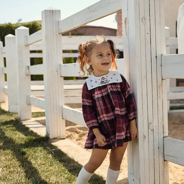 Nakış Yakalı Ekose Elbise